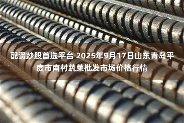 配资炒股首选平台 2025年9月17日山东青岛平度市南村蔬菜批发市场价格行情